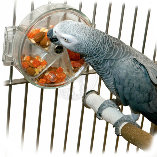 Foraging Wheel