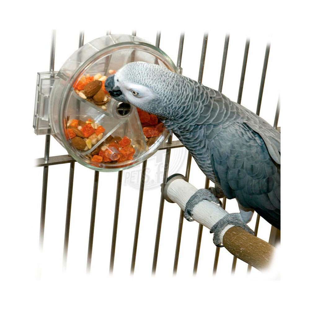 Foraging Wheel