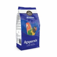 Premium_agapornis3